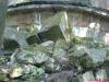 dsc02322_t1.jpg