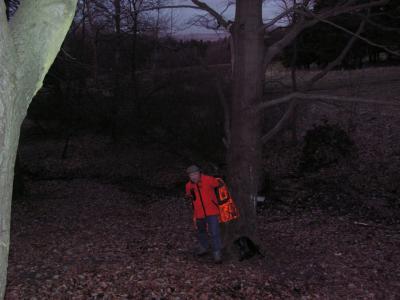 pict2441.jpg